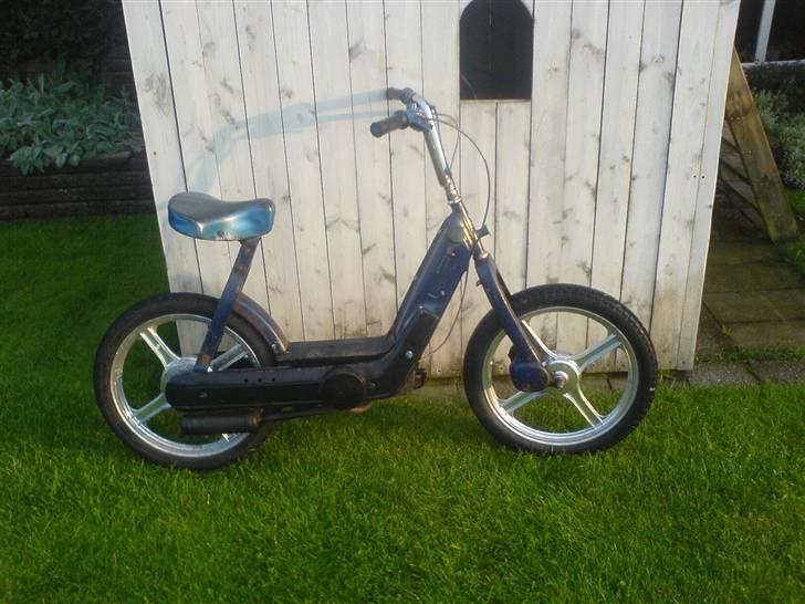 Vespa caio (Væk) billede 2