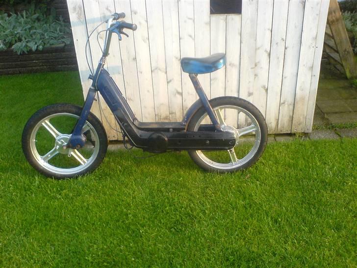 Vespa caio (Væk) billede 3