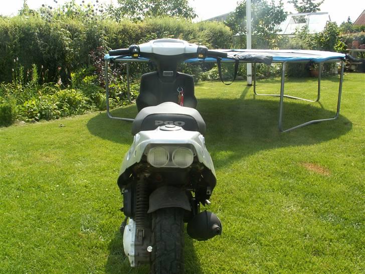 PGO Tornado billede 10