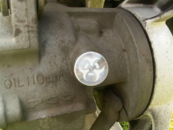 PGO Tornado billede 12