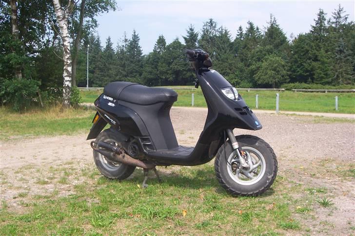 Piaggio Typhoon *SOLGT* billede 10