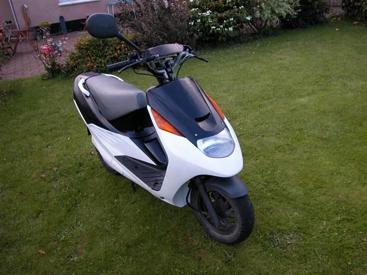 Suzuki address / ap 50 byttet billede 7