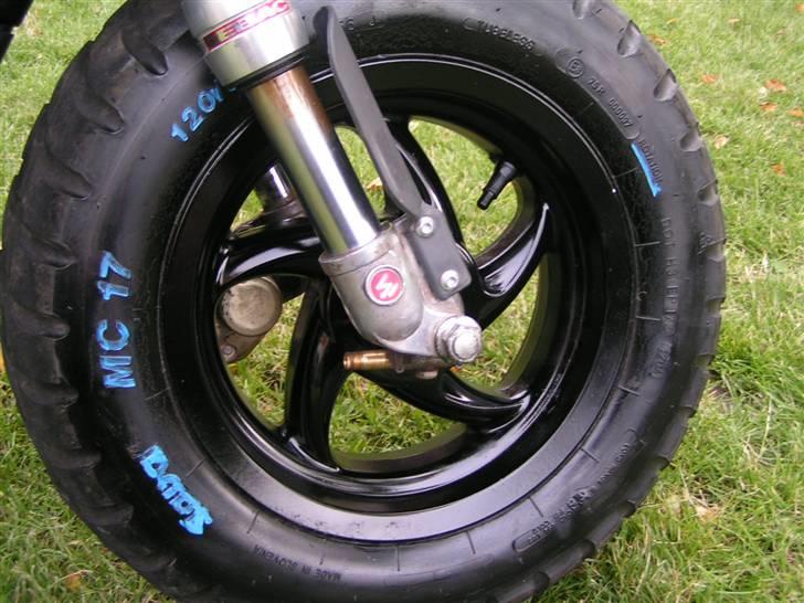 Piaggio typhoon "solgt" billede 2