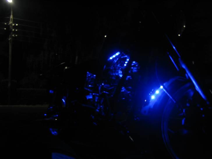 Kinroad Prince "Stybe" billede 2