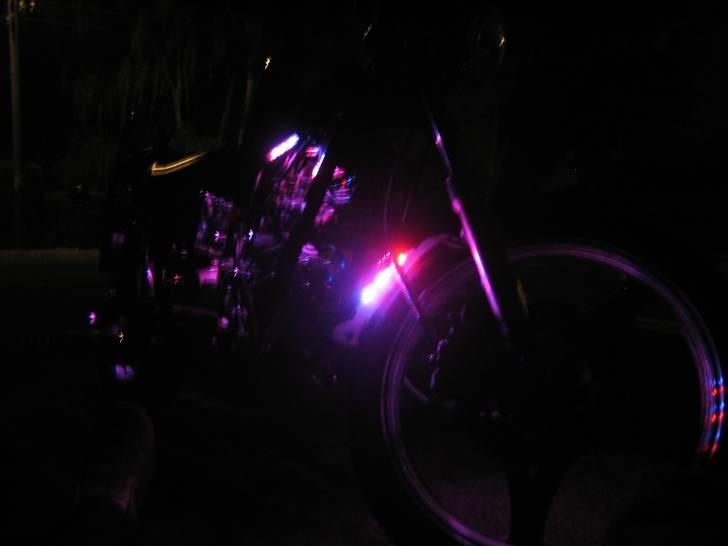 Kinroad Prince "Stybe" billede 3