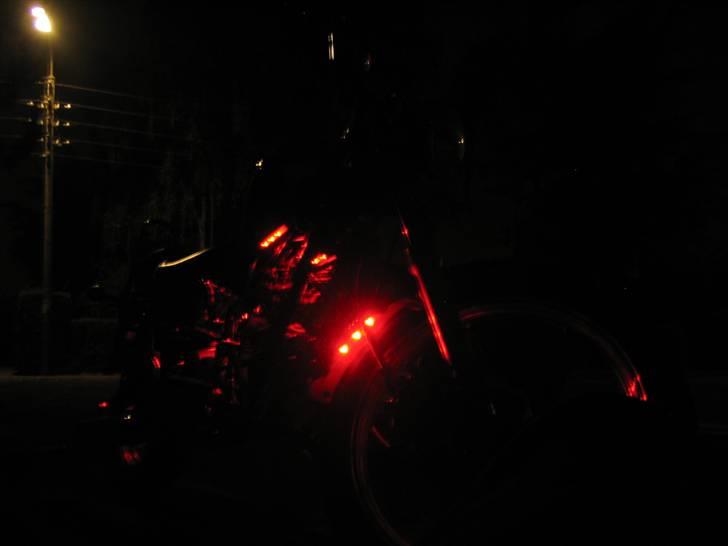 Kinroad Prince "Stybe" billede 4