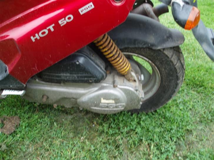 PGO hot 50 solgt billede 6