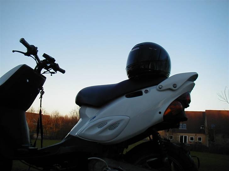 Adly Thunderbike (Fie) - Lakken stadig våd, og den er auto lakkeret! billede 8