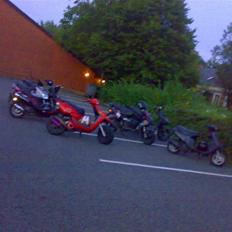 CPI oliver til salg 3000kr