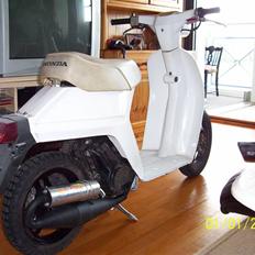 Honda melody mini(SOLGT)