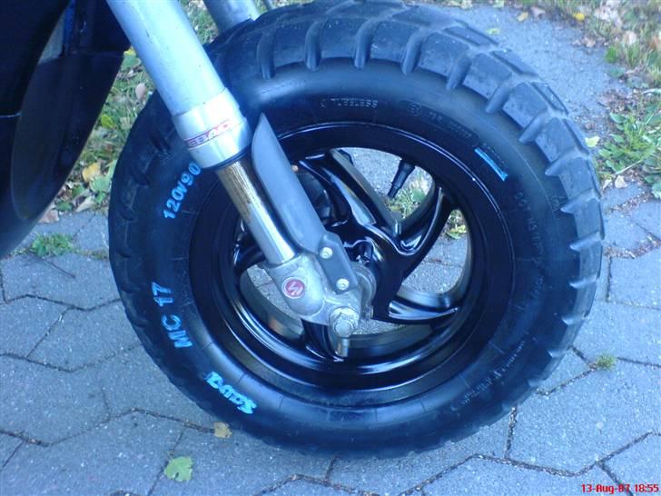 Piaggio Typhoon    ((SOLGT)) billede 6