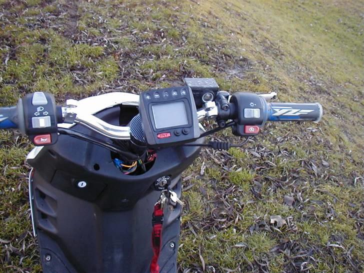 Adly Thunderbike (Fie) billede 9