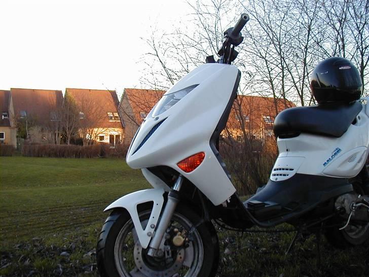 Adly Thunderbike (Fie) billede 10