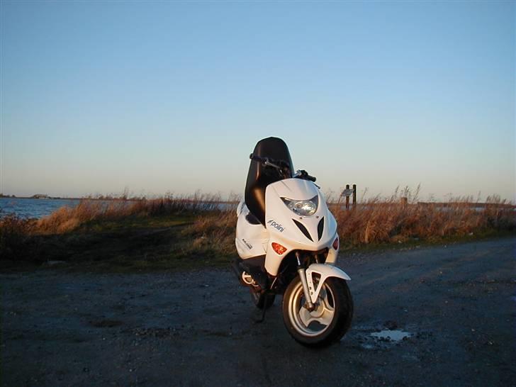 Adly Thunderbike (Fie) billede 11