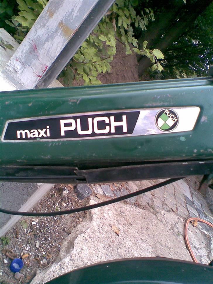 Puch Maxi P - Skal du fremad i flokken, skal der stå Puch på blokken;P billede 4