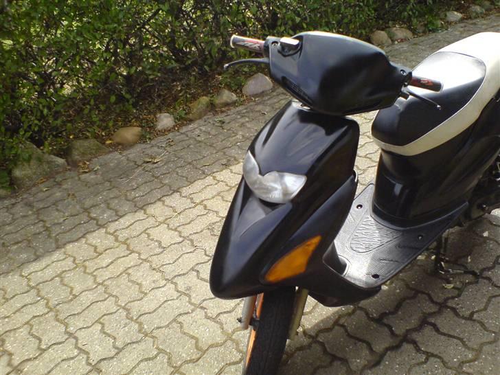 Honda sfx billede 3