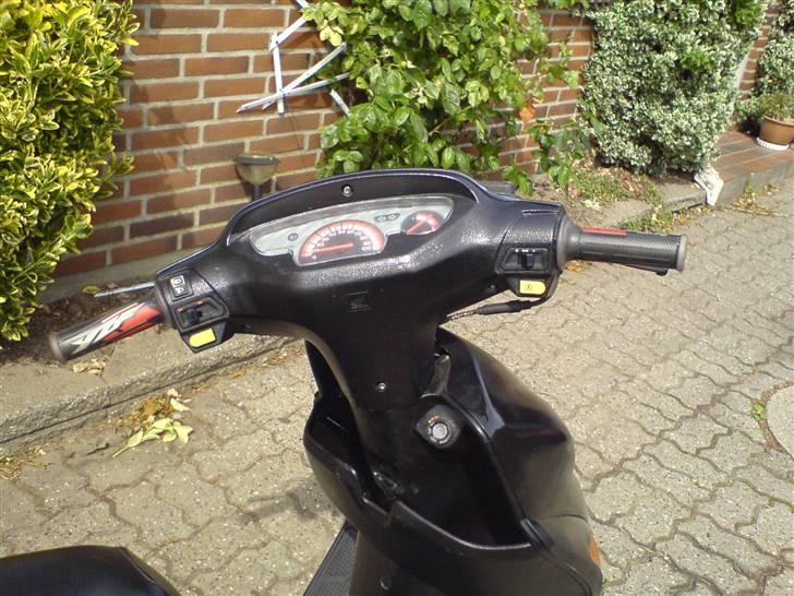 Honda sfx billede 8