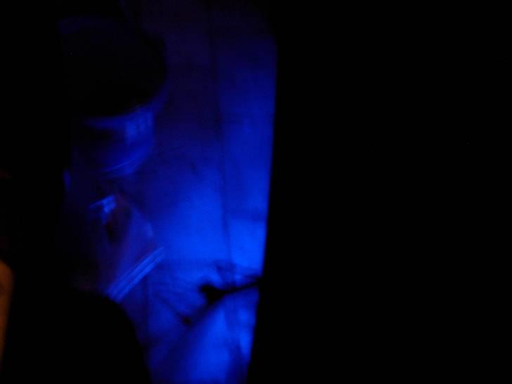 PGO Hot 50 *Fiffi* [SOLGT] billede 16