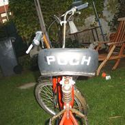 Puch puch maxi p