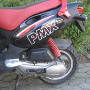 PGO pmx