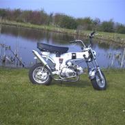 Honda Dax