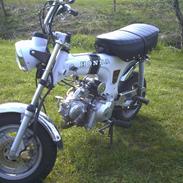 Honda Dax