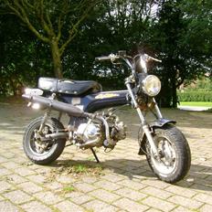 Skyteam DAX  som den så ud før.