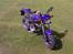 Suzuki Street Magic
