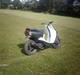 Yamaha neos savner dig :. (