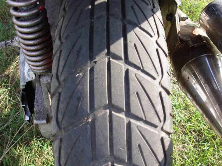 Adly rally byttet  billede 8