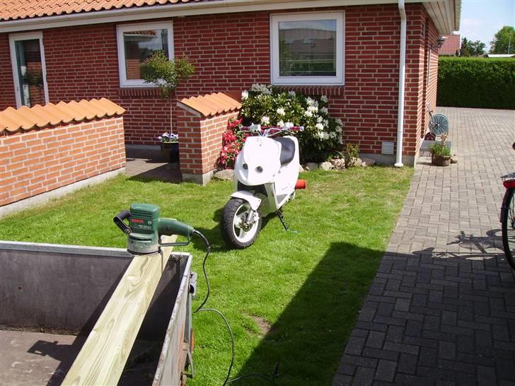 PGO Hot 50 AC (Efter)  billede 12