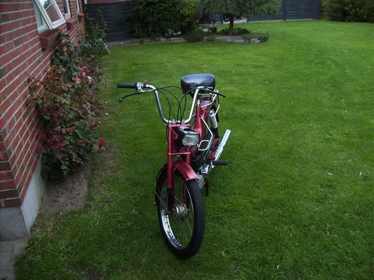Puch Maxi kl solgt  - Efter jeg har renoveret den  billede 7
