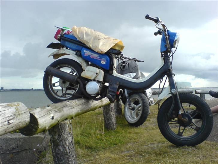 Suzuki fz 50 billede 9