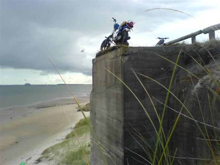 Suzuki fz 50 billede 10