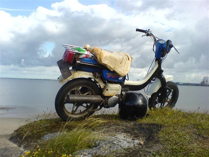 Suzuki fz 50 billede 11