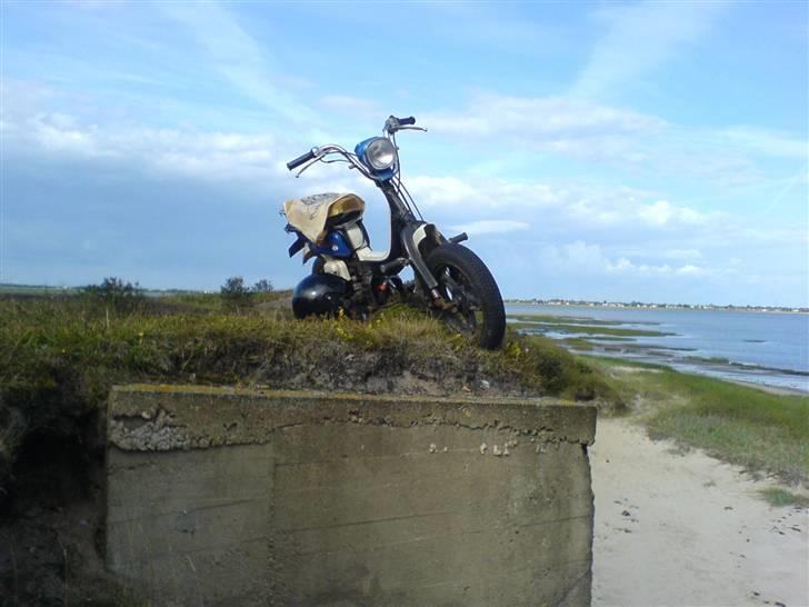 Suzuki fz 50 billede 12