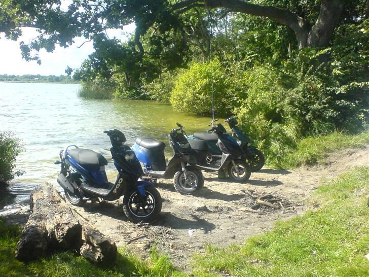 PGO Hot 50 Projekt Lir ! billede 12