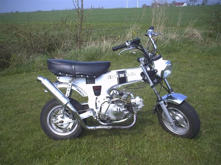 Honda Dax billede 1