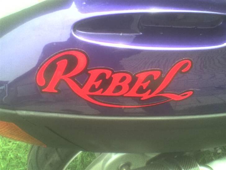 Adly Blue Rebel billede 15