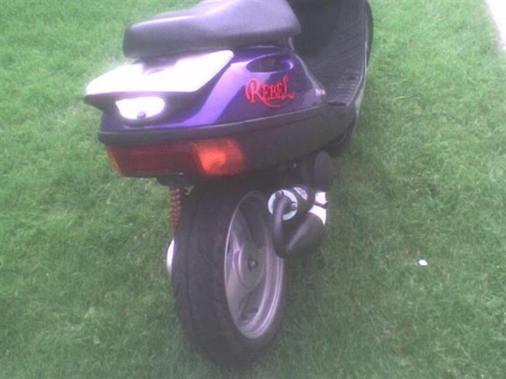 Adly Blue Rebel billede 16