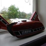 Yamaha Fs-1