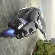 Giantco sprint sport