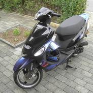 Giantco sprint sport