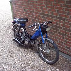 Honda Camino pa50 SOLGT