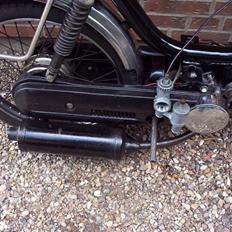 Honda Camino pa50 SOLGT