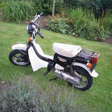 Suzuki Fz 50 Solgt For 2600