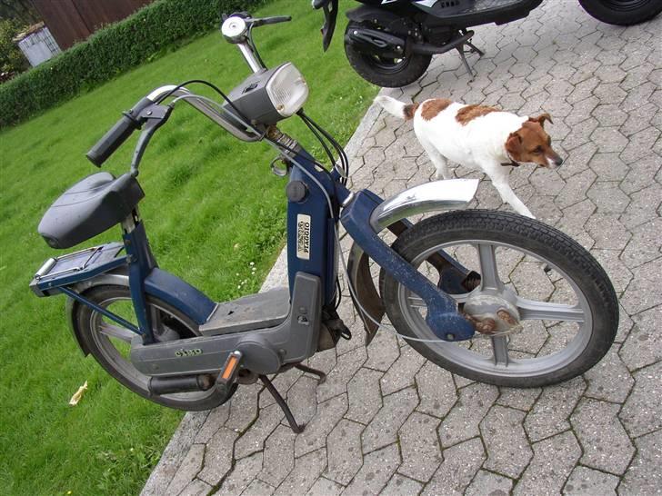 Vespa Caio billede 1