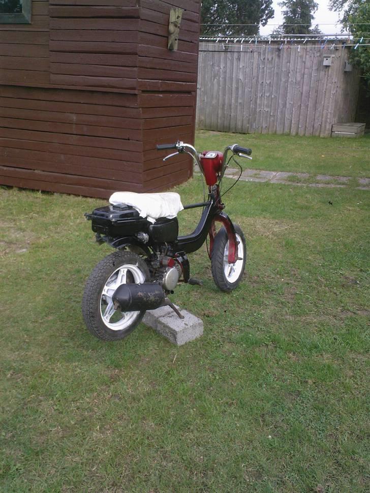 Suzuki fz50 byttet - før den kørte billede 1