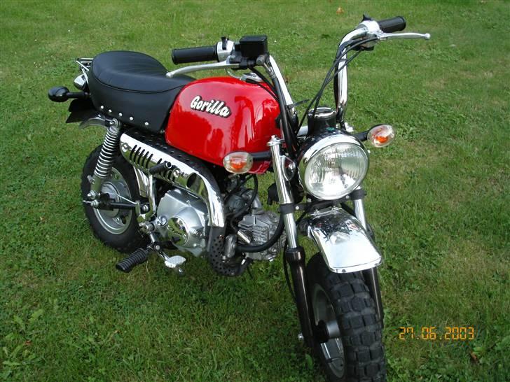 Skyteam Gorilla - Sådan SÅ den ud. billede 1