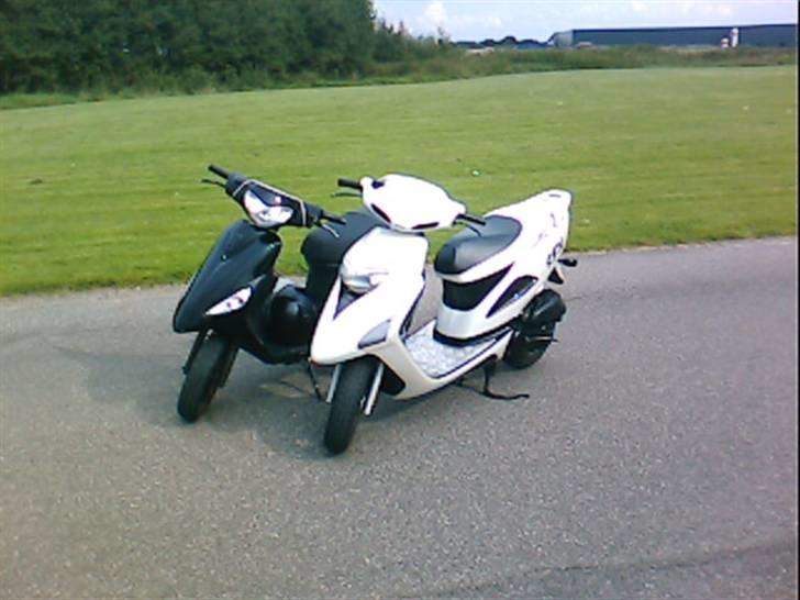 Honda SFX ( Solgt ) billede 2